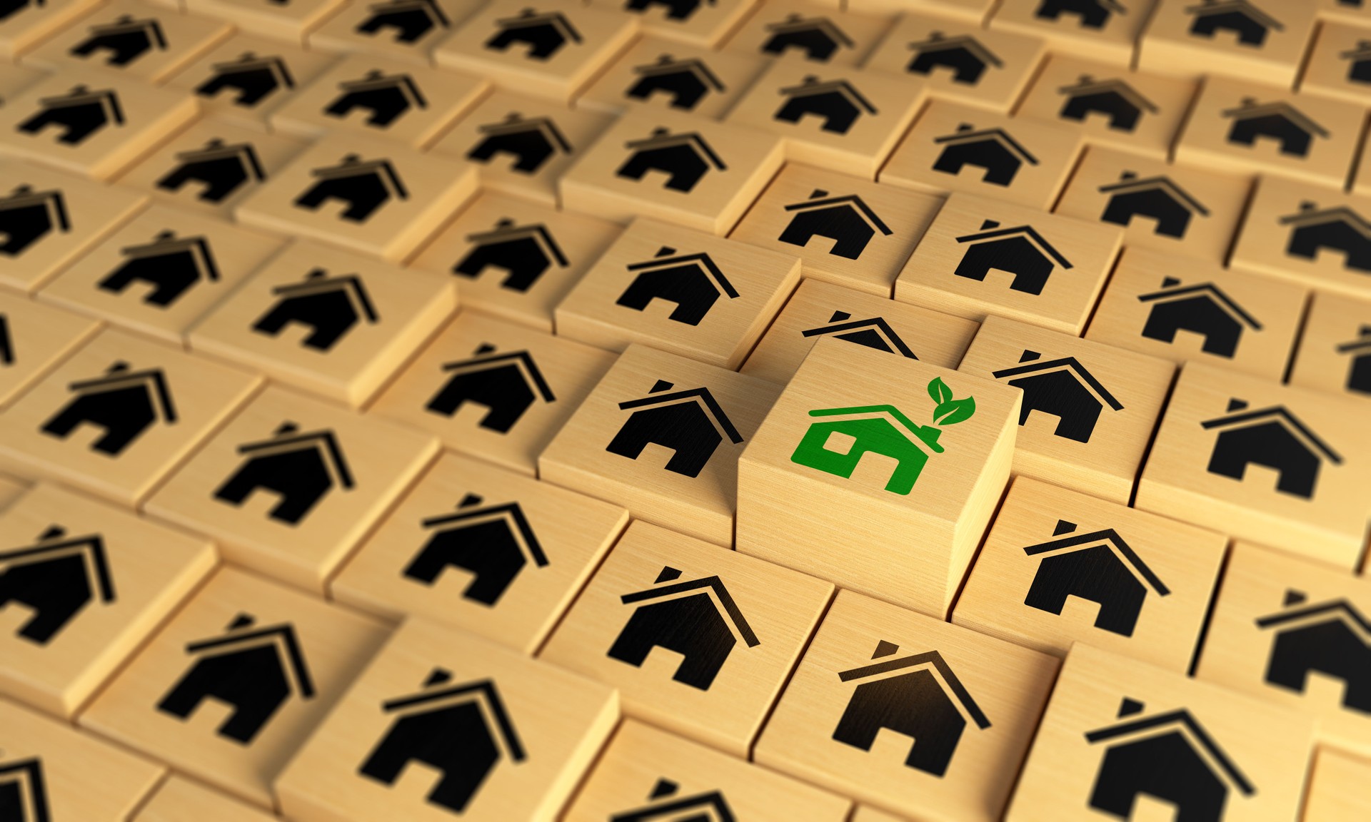 Green Home Standing Out From The Crowd