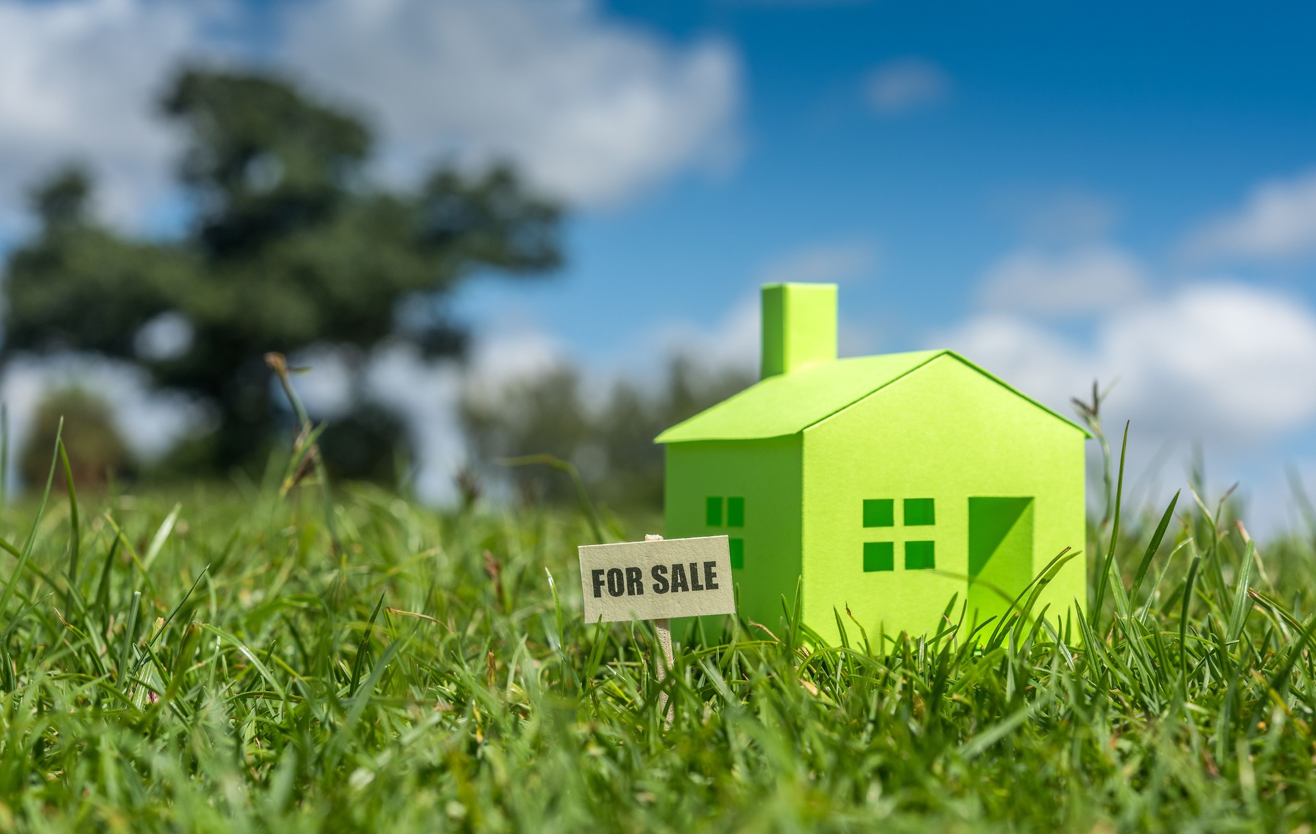 Real estate